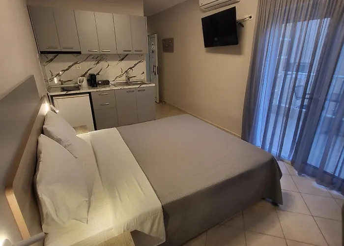 House Spanos 公寓 萨尔蒂