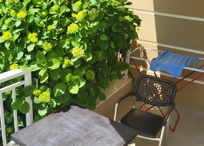 House Spanos 萨尔蒂